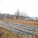 힐링공인중개사사무소 이미지