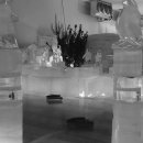 제주궁전 이미지