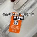 백트립 | 제주공항 캐리어 배송 트립백 내돈내산 후기
