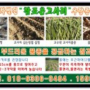 참조은민박 이미지