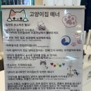 혜인동물병원 | [원주, 카페] 단구동 고양이카페 '오묘'
