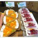 아라파파 이미지