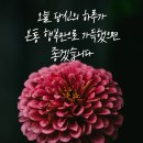 행복한 아침 이미지