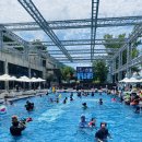 (주)캠프통포레스트 이미지