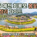 2025 회룡포 봄꽃축제 | 2025 예천 회룡포 봄꽃 축제 완벽 정리 가이드