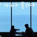 신흥한증막