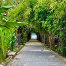 행복의섬 | 피피섬 숙소 추천 | 피피코코비치 리조트 2박 솔직후기 (+픽업, 위치, 소음 총정리)