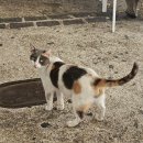 신박하개 | 스페인 여행 7일차 - 론다-세테닐-세비야 렌터카 여행 세테닐 맛집, 기념품, 세비야 역에서 렌터카 반납