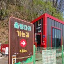 봉명산 | 문경 여행 4월 가볼만한곳 봉명산 출렁다리 방문 후기