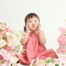 해맑은세종스튜디오