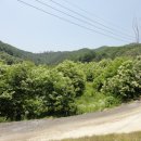 용문산공인중개사사무소 이미지