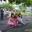 부용초등학교 이미지