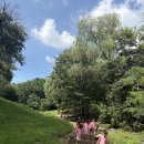 큰다우리발도르프어린이집 햇살, 숲반 별자리 냇가 나들이 이야기1~~(2025.08.22) 이미지