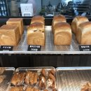 티트리 카페 베이커리