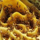 김용수 농장 이미지