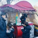 송정백제약국 이미지