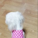 쏘잉플레이스 네이버블로그