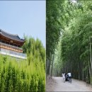 죽녹원 공예