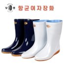 보생 이미지