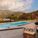 우다다애견 이미지