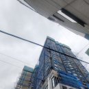 하단동1047 이미지