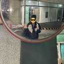 춘천애닭갈비 | 35주 막달 임산부 일상 (지쳤나요? 네니오)