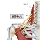 반석경희한의원 이미지