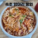 [속초해변 맛집] 속초 항아리물회 회덮밥, 물회, 홍게라면 진심 800% 후기