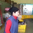 유영석농장 이미지