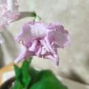 BS소프트 이미지