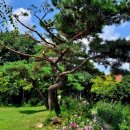 물맑은집 이미지