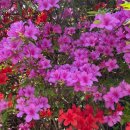 해든재가복지센터 이미지