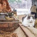 이종란농장 이미지