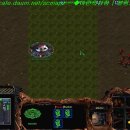 벙커속의저글링 이미지