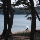 베이테라스 | 바다 전망과 피크닉 감성이 어우러진 태안펜션 베이테라스 후기