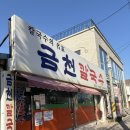 금천 | 강릉 장칼국수 맛집 “금천칼국수” 내돈내산 후기｜웨이팅·주차정보·옹심이 현지인 맛집