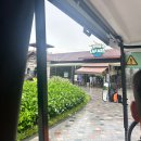 문화한바퀴(백두산 호랭이) | [다낭] 우기 여행(3) 빈원더스 티켓, 버기카, 사파리, 테마파크, 실내오락실 //내돈내산