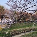 1박2일 | 대둔산캠핑랜드에서의 힐링 캠핑 1박 2일 후기