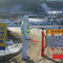 기립농장 이미지