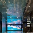 스위밍키즈 아카데미 이미지