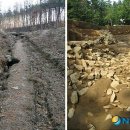 성문축산 이미지