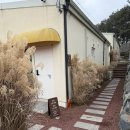 풍월주인 | [충남 청양 숙소] 3개월 아기랑 함께 머문 감성 독채풀빌라, 풍월주인