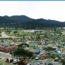 자라섬 캠핑장 이미지