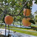 용봉마을회관 이미지