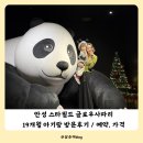 판다 | 경기도 안성 스타필드 19개월 아기랑 글로우사파리 판다 후기 실내 가볼만한곳/예약 할인