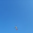 오늘도 골프 이미지