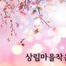 상림마을작은도서관 이미지