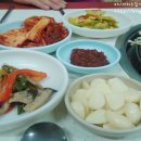 제주촌도야지