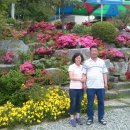 대숲민박 이미지