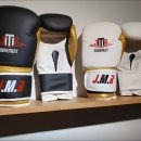 블로우복싱 이미지